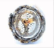 кабель цаабл-10 3х95  гост 18410-73