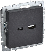 brite розетка usb a+c 18вт рю11-1-брч черный iek