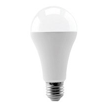 Лампа LED A65 шар 25Вт 6500К E27 LEEK