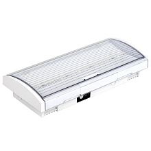 LIGHTING Светильник аварийный ДПА 5043-3 постоянного действия 10-24/220В 3ч IP54 IEK