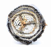 кабель цаабл-10 3х185  гост 18410-73